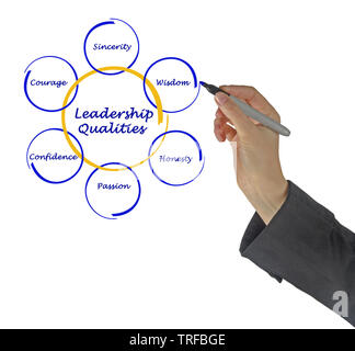Diagramm der Führungsqualitäten Stockfoto