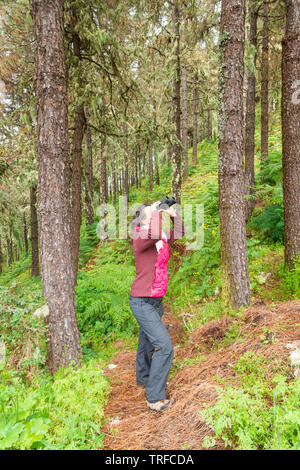 Weibliche birdwatcherlooking durch ein Fernglas in einem Pinienwald. Stockfoto