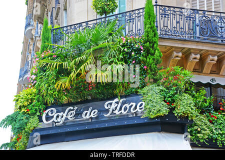 Café de Flore, eines der ältesten Kaffeehäuser in Paris, bekannt für seine berühmten Gäste, Saint-Germain-des-Prés, Latin, Paris, Frankreich Stockfoto