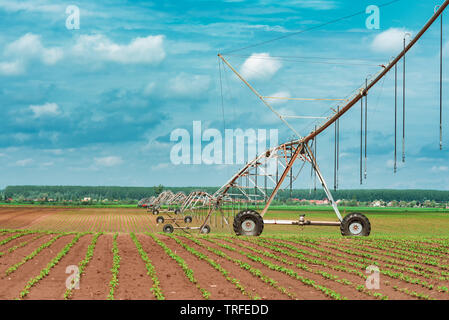 Pivot Bewässerungssystem in kultivierten Sojabohnen und Mais Feld, landwirtschaftliche Geräte für die Bewässerung der Kulturen Stockfoto