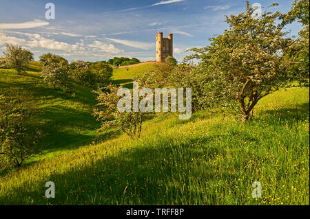 Broadway Tower steht auf Fisch Hügel im nördlichen Cotswolds, und ist eine lokale Anzeigen Point ebenso wie eine mittelalterliche Burg Torheit. Stockfoto