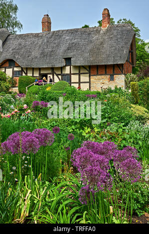 Anne Hathaway's Cottage in Shottery, Stratford Upon Avon, ist ein mittelalterliches Fachwerkhaus Gebäude und Haus von William Shakespeares Frau. Stockfoto