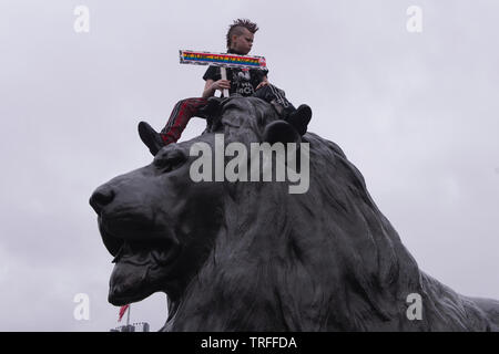 Ein junger Demonstrant sitzt oben auf die Löwen in Trafalgar Square zu protestieren Donald Trump. Westminster, London, Großbritannien. - 4. Juni 2019. Stockfoto