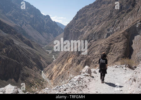 Weibliche Wanderer gehen hinunter Colca Canyon, Cabanaconde Bezirk, Peru Stockfoto
