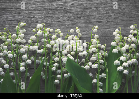 Maiglöckchen Blumen auf Holz- Hintergrund. Ansicht von oben. Stockfoto