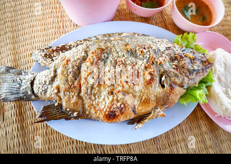 Gegrillter Fisch tilapia mit Salz auf Platte asiatische Thai Stil Essen Stockfoto