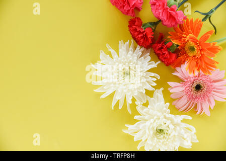 Schöne Blumen schmücken auf gelbem Hintergrund Top View/Bunte Blume verschiedene Arten Stockfoto