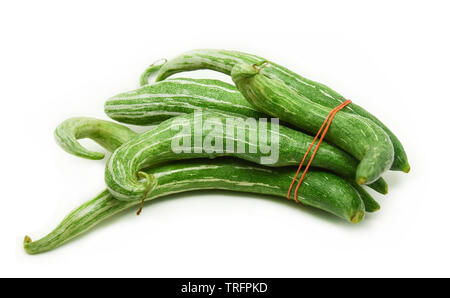 Flaschenkürbis isoliert auf weißem Hintergrund/Trichosanthes anguina Stockfoto