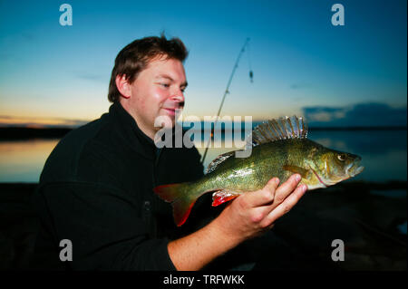 Die norwegische Jan Andre Ulriksen mit einem gemeinsamen barsch Perca fluviatilis, im See Vansjø in Østfold, Norwegen gefangen. Vansjø ist der größte See in Østfold und ein beliebtes Gebiet für die Fischerei. Vansjø und die umliegenden Seen und Flüsse sind ein Teil des Wassers, das System namens Morsavassdraget. September, 2006. Stockfoto