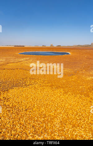 Der Schwarze Pool in Dallol in der danakil Depression, Afrika. Stockfoto