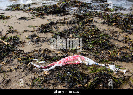 DAUGAVGRIVA, Lettland. 1. Juni 2019. Plastikbeutel liegend auf Sand am Strand in der Nähe von Ostsee. Stockfoto