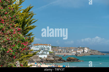 Eine Ansicht aus einem Restaurant am Strand im Sommer in St Ives Cornwall Stockfoto