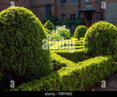 Parterre Garten von abgeschnitten innerhalb der ummauerten Garten von norbury Landsitz in der Nähe von Ashbourne, Derbyshire UK Stockfoto