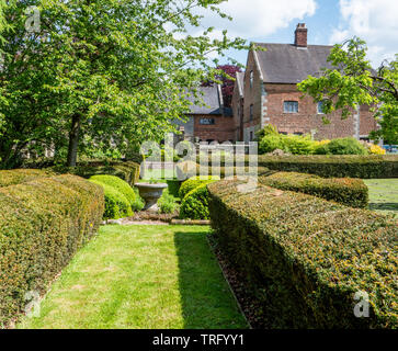 Formelle Gärten mit Graswanderung und beschnittenen Hecken im Norbury Manor in Derbyshire, Großbritannien Stockfoto