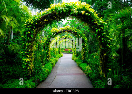 Singapore Botanic Gardens Stockfoto