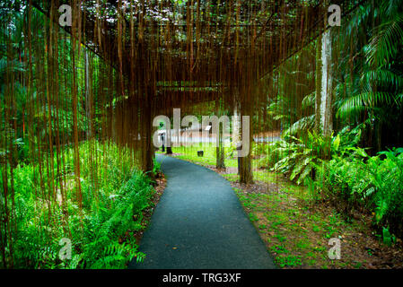 Singapore Botanic Gardens Stockfoto