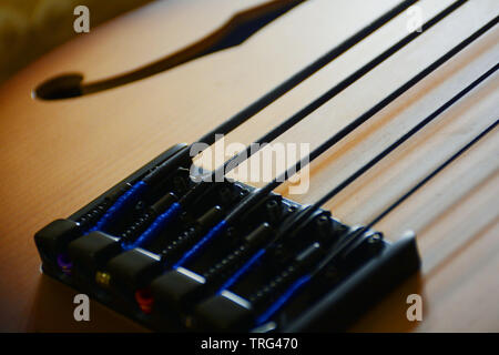 Bass Gitarre natürliche Farbe von einem professionellen Bass Player, Fretless Bass Verschiedene nie in der Fotografie vor jetzt Stockfoto