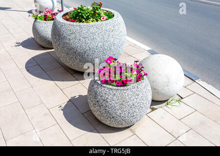 Granit dekorativen Beet mit unterschiedlichen Blumen auf Straße der Stadt. Bunte Blumen, dekorative Komposition im sonnigen Tag Stockfoto