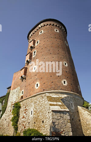 Sandomierz Turm im Schloss Wawel. Krakau. Polen Stockfoto