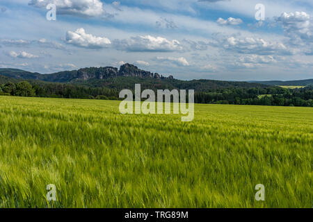 Panoramablick auf schrammstein Felsen in der Sächsischen Schweiz, Deutschland Stockfoto