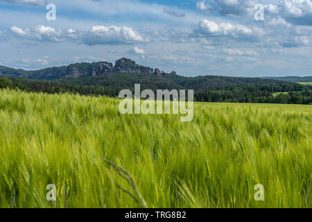 Panoramablick auf schrammstein Felsen in der Sächsischen Schweiz, Deutschland Stockfoto