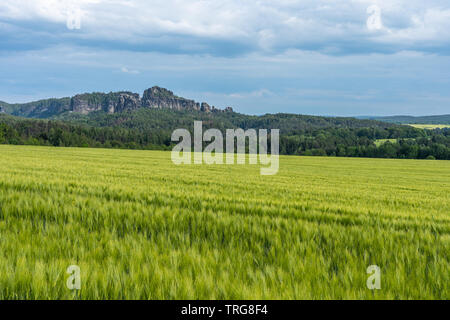 Panoramablick auf schrammstein Felsen in der Sächsischen Schweiz, Deutschland Stockfoto