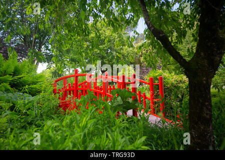Der kleine rote Holzsteg Der botanische Garten Bayonne (Frankreich). Dieser Garten wurde nach einem japanischen Modell gelegt. Stockfoto