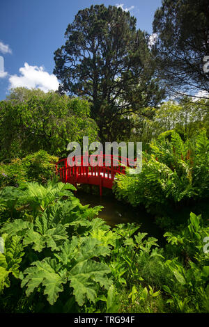 Der kleine rote Holzsteg Der botanische Garten Bayonne (Frankreich). Dieser Garten wurde nach einem japanischen Modell gelegt. Stockfoto