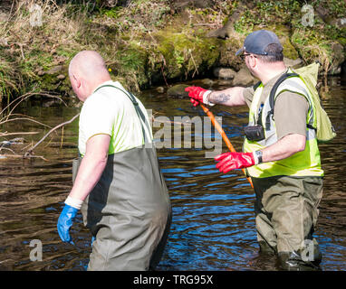 Freiwillige auf jährlichen Frühjahrsputz auf der Bank von Wasser von Leith, Edinburgh, Schottland, Großbritannien. Männer in waders Ziehen am Seil Müll abrufen Stockfoto