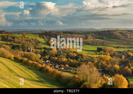 Herbstliche Farben, Corton Denham, Somerset, England, Großbritannien Stockfoto