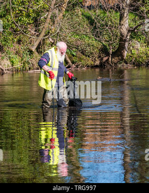 Freiwillige auf jährlichen Frühjahrsputz auf der Bank von Wasser von Leith, Edinburgh, Schottland, Großbritannien. Ein älterer Mann in waders watet über den Fluss sammeln Müll Stockfoto