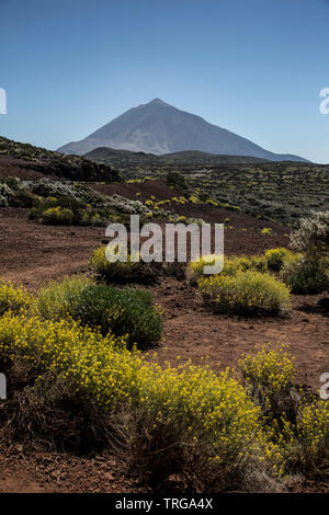 Mount Teide Gipfel über den Nationalpark Teide, Teneriffa, Spanien gesehen Stockfoto