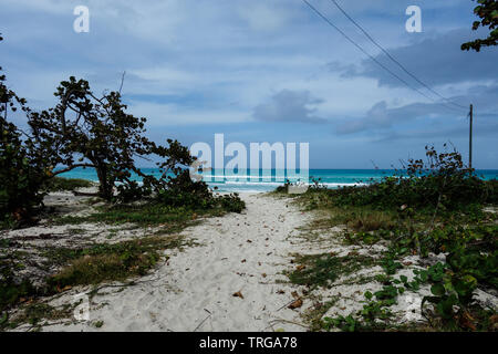 Pfad zu einem weißen Sandstrand in Varadero, Kuba Stockfoto