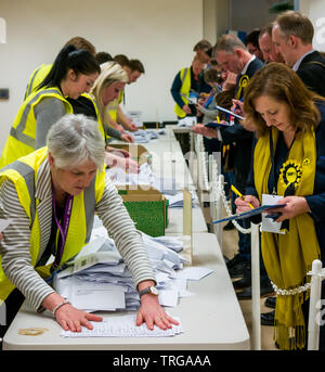 Lesley McInnes, SNP Stadtrat am Leith Walk Nachwahl zählen, Hauptquartier des Rates von Edinburgh, Edinburgh, Schottland, Großbritannien Stockfoto