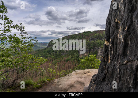 Wanderweg in der Sächsischen Schweiz zur idagrotte, Deutschland Stockfoto