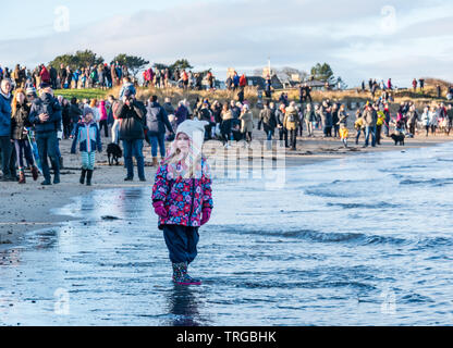 Loony Dook, Tag des Neuen Jahres: Die Menschen mutig kaltes Wasser der West Bay, Firth-of-Forth, North Berwick, East Lothian, Schottland, Großbritannien. Die Menge wartet zu starten Stockfoto