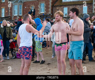 Loony Dook, Tag des Neuen Jahres: Die Menschen mutig kaltes Wasser, West Bay, Firth-of-Forth, North Berwick, East Lothian, Schottland, Großbritannien. Junge Männer in Badehose Stockfoto