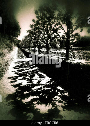 Château de Villandry und seine Gärten, Indre-et-Loire, Center-Val de Loire, Frankreich Stockfoto