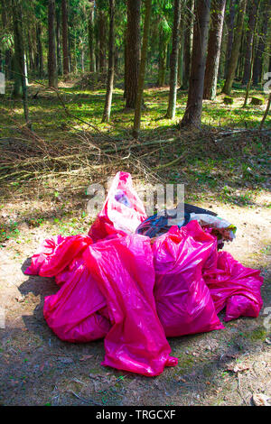 Sammeln oder Kommissionierung, Abfall, Müll und Kunststoff für Reinigung in einem Wald, Verschmutzung Stockfoto