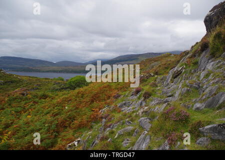 Bracken und Heide Heide auf mittleren Jura Lias Kalkstein zutage. Loch Slapin, Isle of Skye, Schottland, Großbritannien. Stockfoto