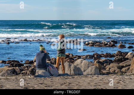 Älteres Ehepaar und ihrem Hund genießen Sie die Vögel, Dichtungen und Wellen kommen an Land entlang Sunset Drive in Monterey, Kalifornien. Stockfoto