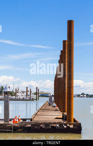 Stahl Ausrichtung pilings während eines extrem niedrigen Tide in Steveston British Columbia ausgesetzt Stockfoto