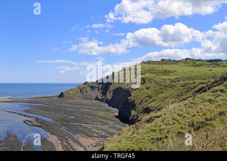 Raven Hall Hotel, Ravenscar, Borough von Scarborough, North Yorkshire, England, Großbritannien, USA, UK, Europa Stockfoto
