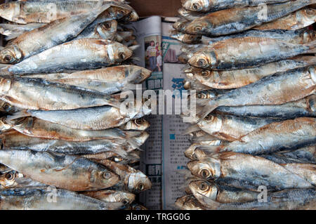 Fisch auf Zeitung auf einen Stall in einem Markt, in Kowloon, Hong Kong Stockfoto