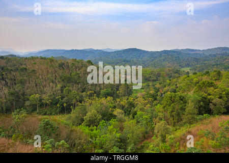 Wayanad (Kerala, Indien) Stockfoto