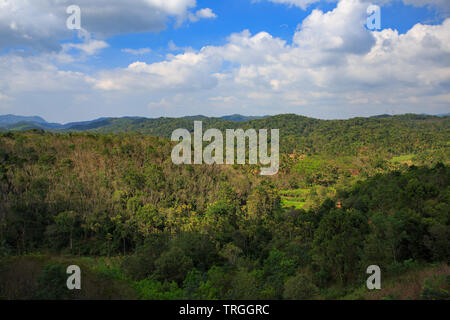 Schöne Landschaft von Wayanad (Kerala, Indien) Stockfoto