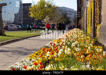 Menschen zu Fuß auf der Straße mit schönen Blumen in der Stadt Kopenhagen, Dänemark Stockfoto