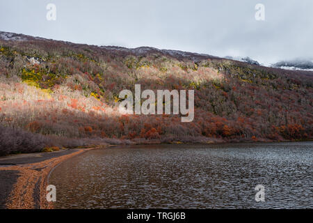 Laguna las Avutardas, Villarrica Traverse, Nationalpark, Patagonien, Chile Stockfoto