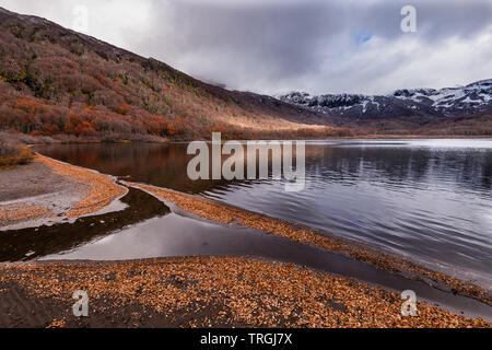 Laguna las Avutardas, Villarrica Traverse, Nationalpark, Patagonien, Chile Stockfoto