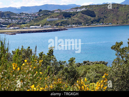 Ein Motorboot Geschwindigkeiten über Lyall Bay in Wellington, Neuseeland. Der Flughafen ist im Hintergrund sichtbar. Stockfoto